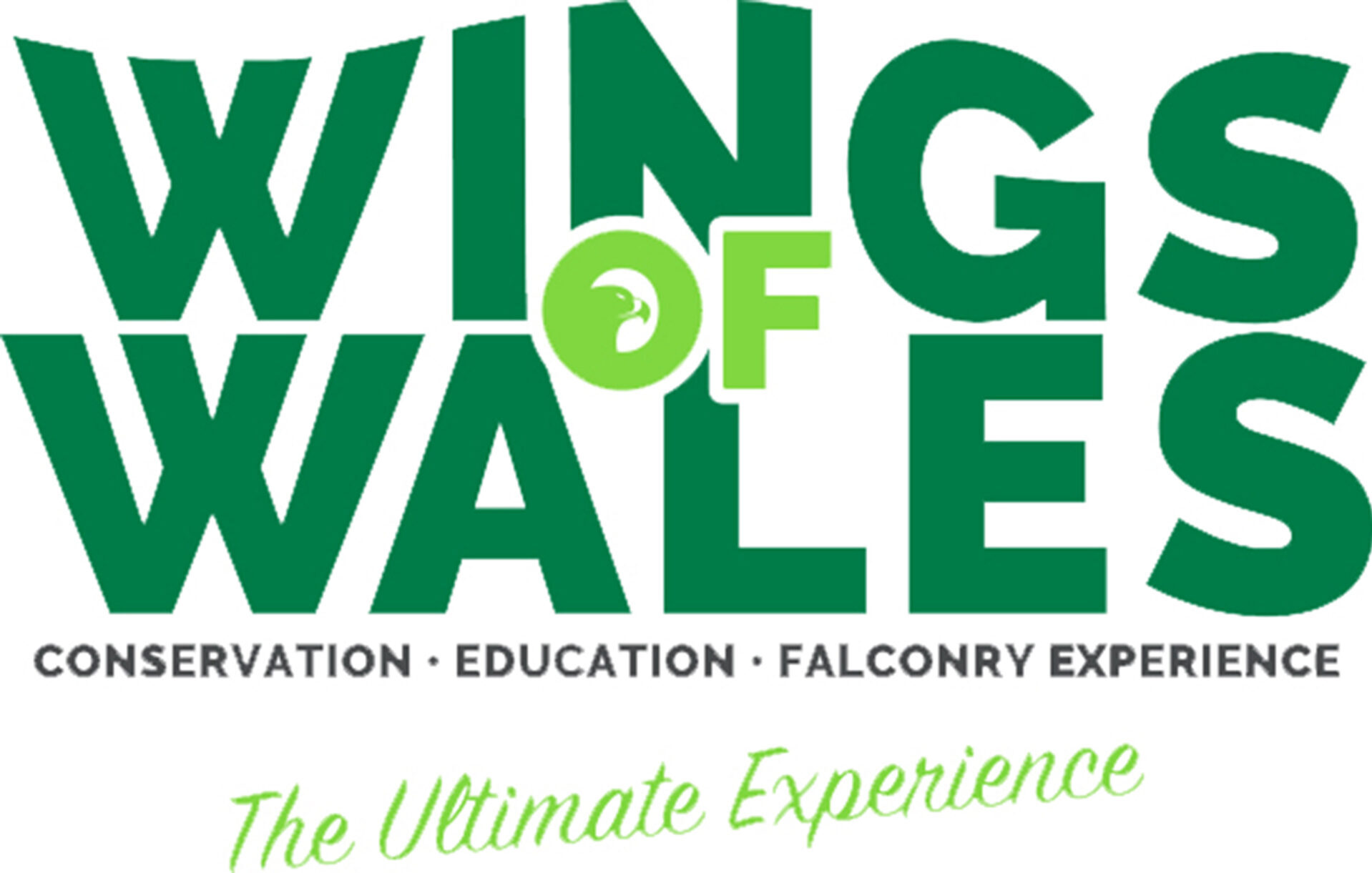 Wings Of Wales